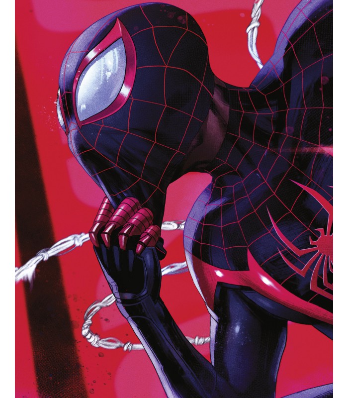 MARVEL SPIDER-MAN PONDERING 40X50