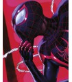 MARVEL SPIDER-MAN PONDERING 40X50