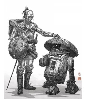 STAR WARS VISION SAMURAI DROIDS 40X50