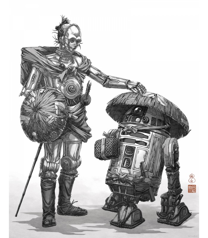 STAR WARS VISION SAMURAI DROIDS 40X50