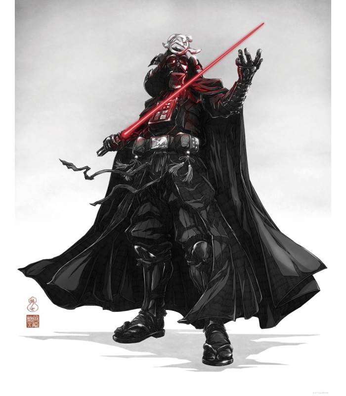 STAR WARS VISION SAMURAI DARK LORD 40X50