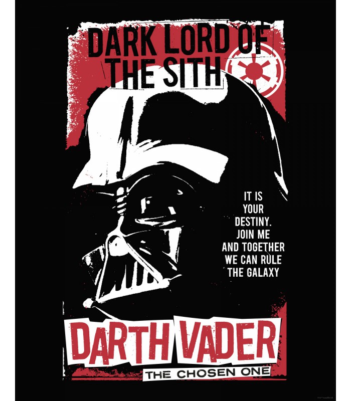 STAR WARS DARTH VADER THE CHOSEN ONE 40X50