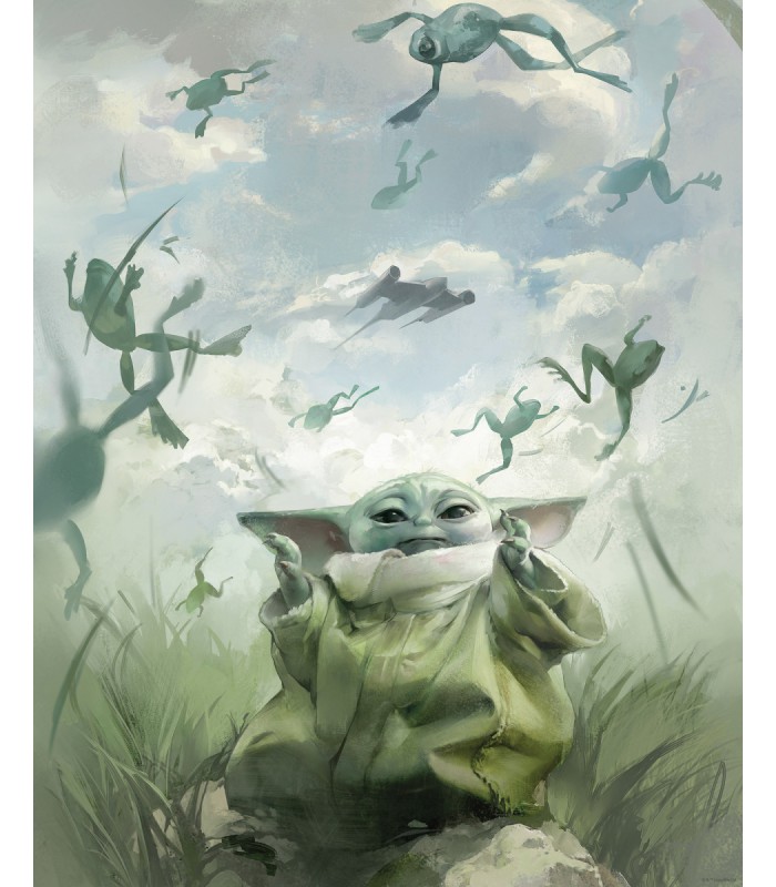 STAR WARS THE MANDALORIAN GROGU FROGS 40X50