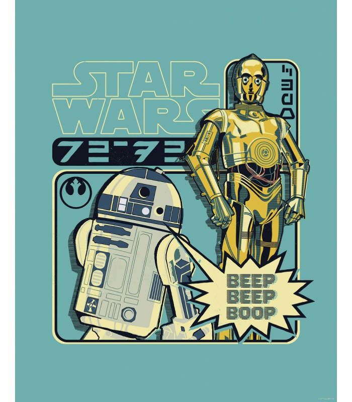 STAR WARS BEEP BOOP 40X50