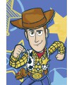 DISNEY AND PIXAR TOY STORY WOODY 50X70