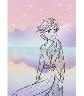 DISNEY FROZEN PASTELL LIGHTS 50X70