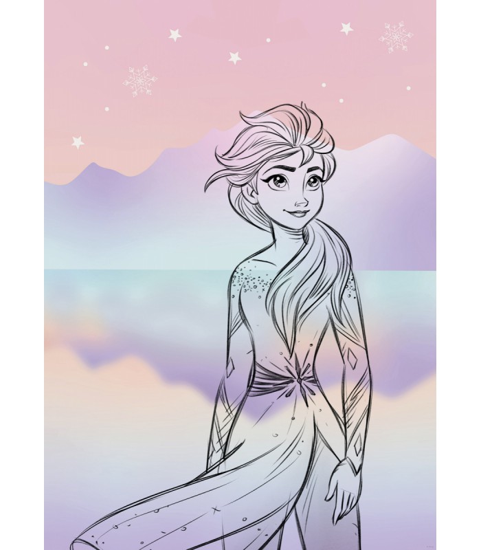 DISNEY FROZEN PASTELL LIGHTS 50X70