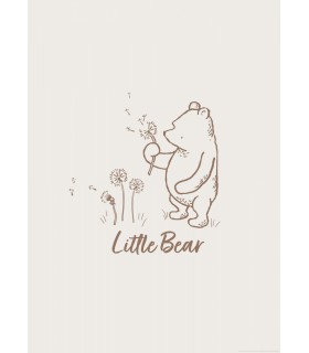DISNEY WINNIE THE POOH LITTLE BEAR 50X70