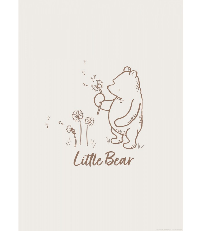 DISNEY WINNIE THE POOH LITTLE BEAR 50X70