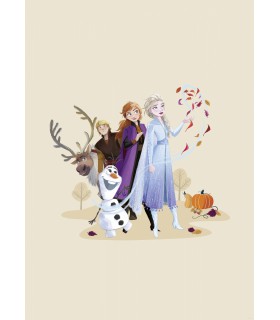 DISNEY FROZEN AUTUMN FEELING 50X70