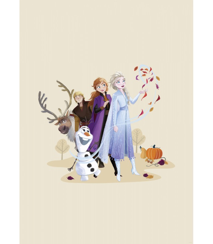 DISNEY FROZEN AUTUMN FEELING 50X70