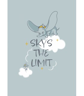 DISNEY DUMBO SKY`S THE LIMIT 50X70