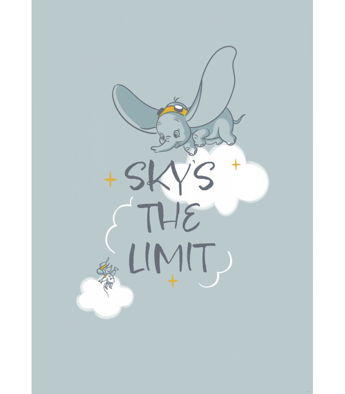 DISNEY DUMBO SKY`S THE LIMIT 50X70