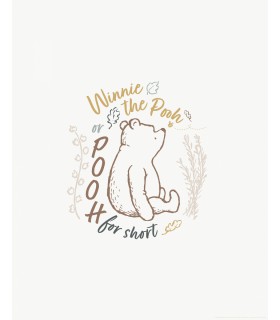 DISNEY WINNIE THE POOH FOR SHORT 50X70