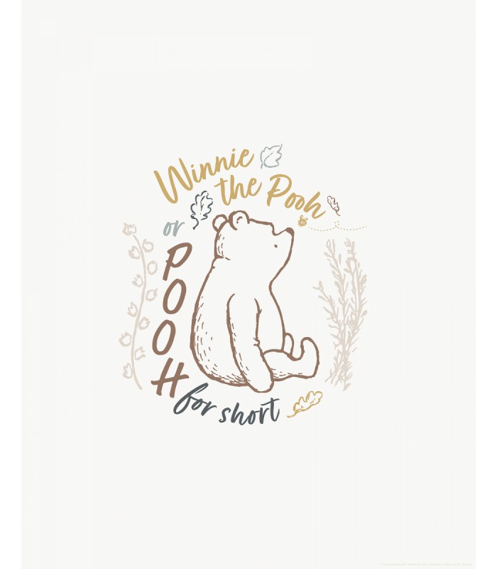 DISNEY WINNIE THE POOH FOR SHORT 50X70
