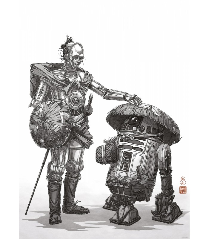 STAR WARS VISION SAMURAI DROIDS 50X70