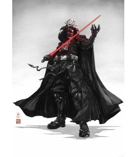 Affiche Star Wars - Vision Samurai Dark Lord - 50 x 70 cm