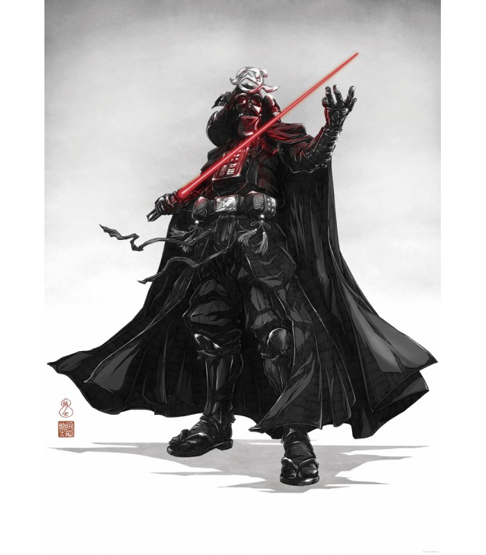 STAR WARS VISION SAMURAI DARK LORD 50X70
