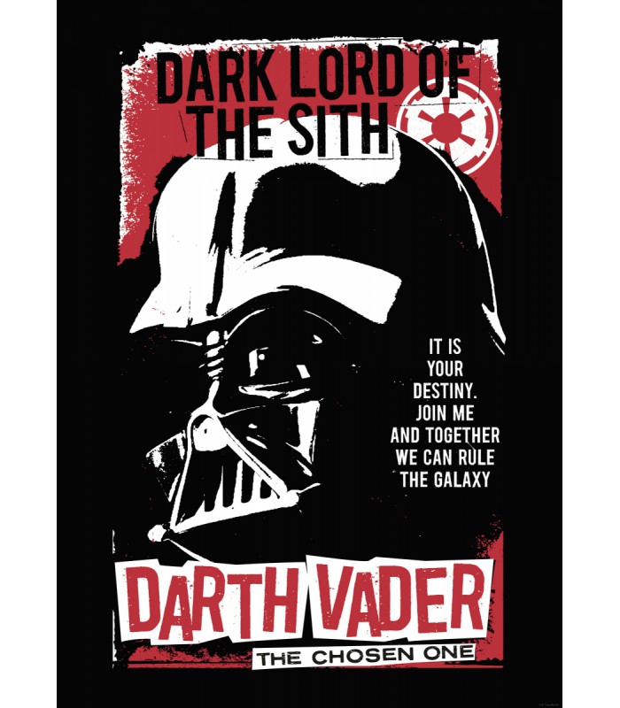 STAR WARS DARTH VADER THE CHOSEN ONE 50X70