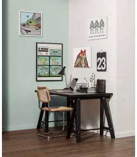 STAR WARS STORMTROOPER GROUP PHOTO 40X40