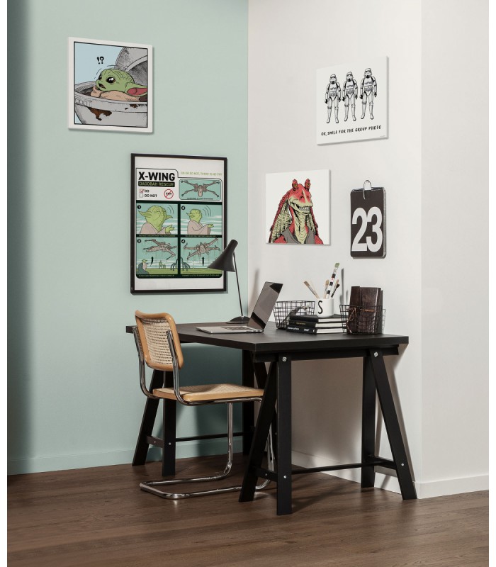 STAR WARS STORMTROOPER GROUP PHOTO 40X40