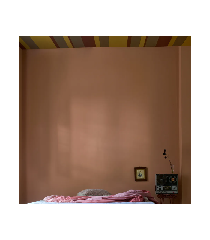 Farrow & Ball Échantillon NAPERON 315 - 100ml