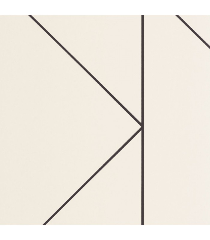 Papier peint PURE BEIGE / NOIR FUSAIN - Collection Alchimie - CASADECO - Ref. ALMI89901864