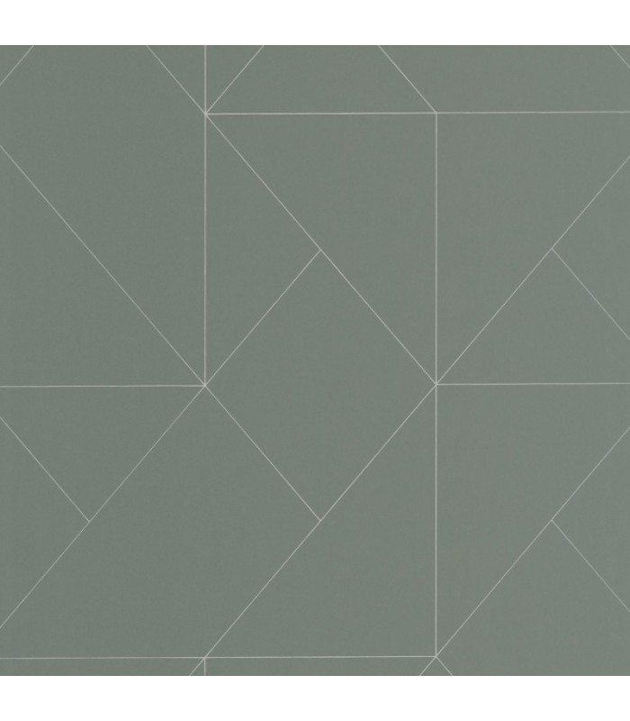 Papier peint SUBTILITE VERT KAKI - Collection Alchimie - CASADECO - Ref. ALMI89957761