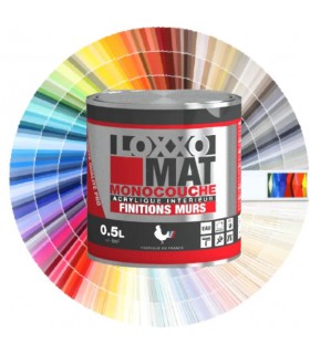 Peinture à base de résine acrylique mate LOXXO MAT