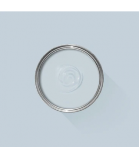 Farrow & Ball Échantillon KAKELUGN 317 -100 ml