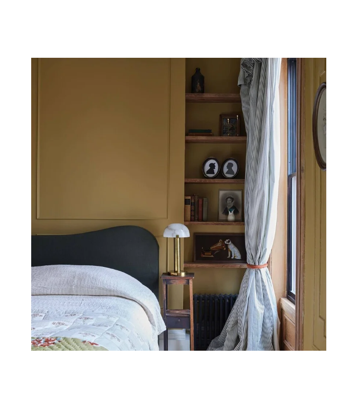 Farrow & Ball Échantillon DUSTER 319 - 100ml