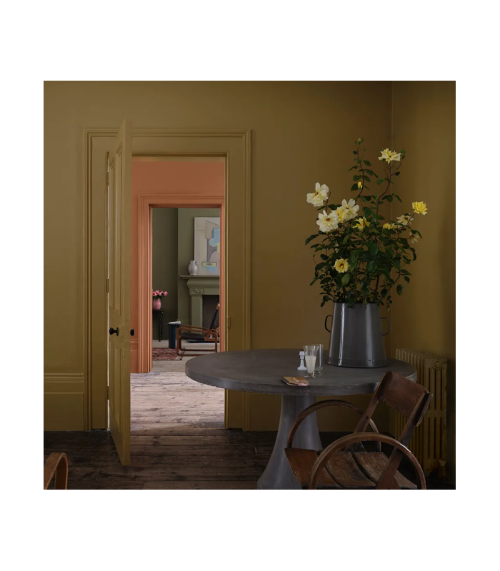 Farrow & Ball Échantillon DUSTER 319 - 100ml