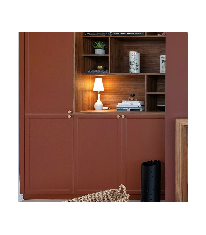 Farrow & Ball Échantillon ETRUSCAN RED 56 - 100ml