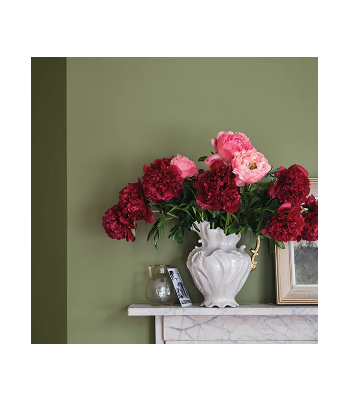 Farrow & Ball Échantillon SAP GREEN 199 - 100ml