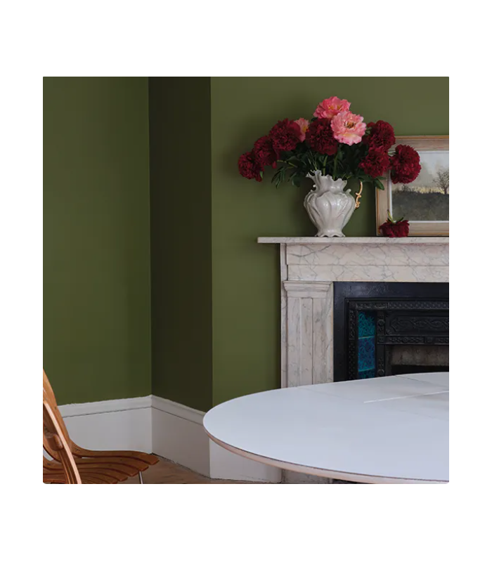 Farrow & Ball Échantillon SAP GREEN 199 - 100ml