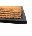 Tapis Coco Dilon Moulage Caoutchouc 45x75 cm