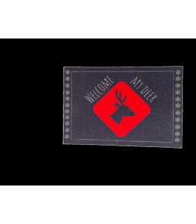 Tapis Intérieur Anti Dérapant et Absorbant Quebec 40X60cm