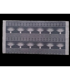 Tapis Intérieur Anti Dérapant et Absorbant AGDZ 50X100cm