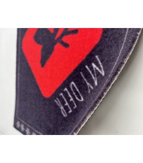 Tapis Intérieur Anti Dérapant et Absorbant Quebec 40X60cm