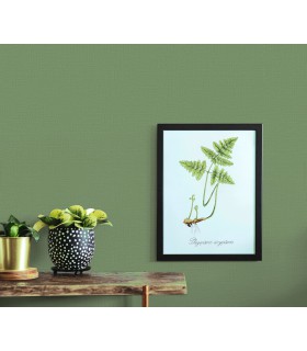 Papier peint Erismann - La Terrasse uni effet textile vert sauge - 1026207