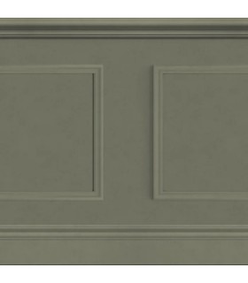 Panoramique LA BIBLIOTHEQUE Kaki 90 x 300cm - Collection WONDERWALLS 2 - CASADECO - Réf. WDWD200467540