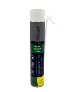 Mousse expansive PU 1C Pro 75 750ml