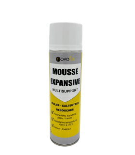 Mousse expansive Multi-supports 1C