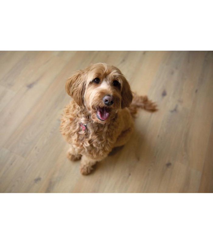 Parquet stratifié Ocean+ 8V4 - Gyant Natural - Résistant à l'eau - 1288 x 190 x 8 mm