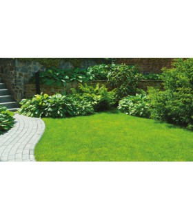 GAZON ST TROPEZ 22MM  RL 1X3M
