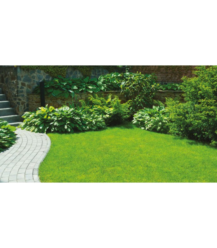 GAZON ST TROPEZ 22MM  RL 2X3M