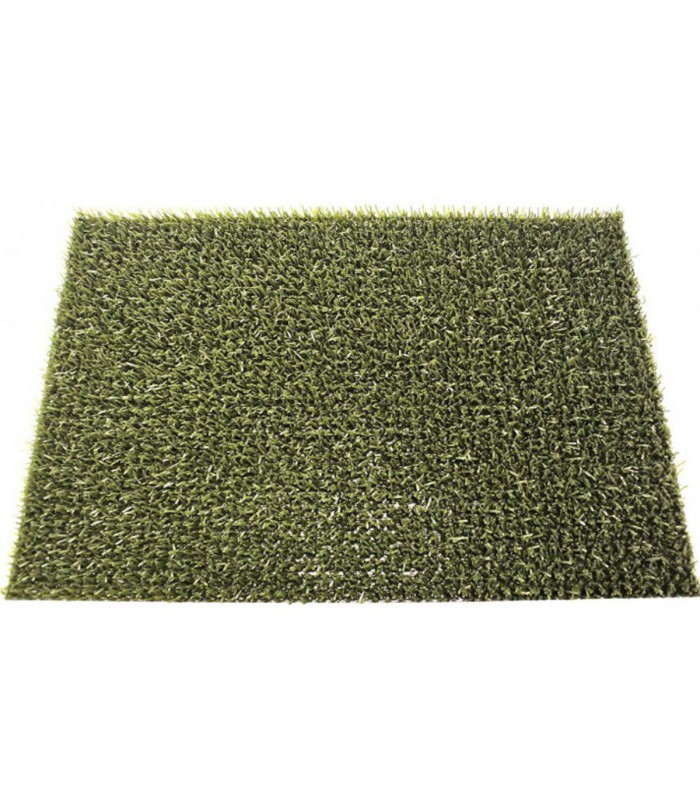 Tapis Grattant Intérieur Extérieur Astroturf - 40x60cm
