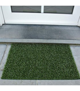 Tapis Grattant Intérieur Extérieur Astroturf - 40x60cm