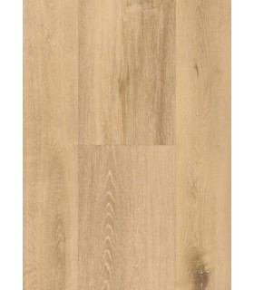 RIGID 55 CHENE BEIGE STK