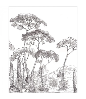 PANO, CASE. FOREST OF PINEA  N/BLANC 200x280 10729 PANW4